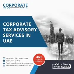 Avoid Costly Corporate Tax Penalties in UAE  Free Expert Guide